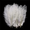 Doux par lot 10-16 pouces blanc plume d'autruche plume artisanat fournitures mariage fête Table centres de table décoration livraison gratuite