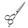 Professionele Kapper Haarschaar 5.5 / 6.0 Inch Snijden Dunning Schaar Shears Kappers Styling Tool Rvs Hair Scissors