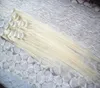 100G Rechte Clip in Menselijk Haarverlenging Remy Braziliaanse Virgin Haar Clip Ins Human Extension Blond 14 16 18 20 22