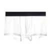 5 stücke Mesh Boxer Shorts Unterwäsche Kühles Eis Seide männer Boxer Unterhose Super Atmungsaktive Männer Sexy Schlanke Mann Höschen transparent