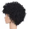 Yüksek sıcaklık sentetik siyah afro peruklar kinky kıvırcık doğal siyah renk kısa sentetik Amerika peruk ortalama boyutu2557169