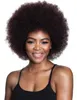 고품질 여성의 브라질 헤어 아프리카 계 미국인 곱슬 곱슬 가발 시뮬레이션 인간 머리 afro 짧은 곱슬 가발 stoc