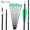 28/30/31 inch carbon arrows archery hunting with Replaceable Arrowheads for Recurve Compound Bow Arrows Shooting