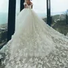 Beach Ball Gown Bröllop Klänningar Av Skulder Fjäril 3D Appliques Brudklänningar Baklösa Sweep Train Puffy Wedding Dress