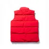 Mens Down Jacket Parka Mens Designer Cana Vestes Gilets Hommes Femmes Winter Down Mens Designer Coat OuterwearLVGL