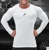 2019 New Plus Size Magliette Cotone Uomo Manica lunga Raglan Tee Casual Top T-shirt Girocollo Mens Slim Fit Tshirt M-2XL