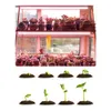 60CM Grow Light Tube Full Spectrum Frosted 2 Packs Growth Lamp Bar For Indoor Plant Growing Flowering Hydroponics Greenhouse Grow Tent.