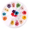 Nail Art Dried Flowers - 3D Real Dry Flowers In Wheel Box Mini Real Natural Nail Supplies Tips Manicure Decor