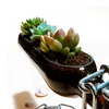 Creatief snijdende wijnfles in halve plantenbeurt Glas Terrarium Flower Pot voor sappige cactus Air Plant Alcohol Gifts