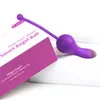 Magic Motion Kegel Master Ball Bluetooth Vibrateur App Télécommande Smart Ben Wa Ball Vagin Serrer Formation Sex Toy Pour Femme Y3524587