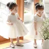 새로운 아기 소녀 드레스 미인 꽃 유아 소녀 파티 Tutu 침례 드레스 플로랄 생일 축하 Christening infantil vestido