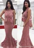 2019 Elegant Lace Appliqued Mother of the Bride Dresses Mermaid Long Formal Godmother Women Wear Evening Wedding Party Guests Dress Plus Siz