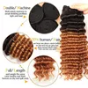 Brazilian Ombre Gelockt 4 Bundles Nass- und Wellenförmige Ombre Tief Curly Menschenhaar-Webart Zwei Ton Tiefe Welle Haar 1B / 30 Farbe
