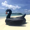 inflatable swan pool toy