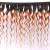 Zwei Ton Ombre # 1b / 30 Wasserwelle Remy Human Hair Bündel mit Spitze Frontal Clock 13x4