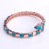 Fashion Brand Jewelry Lady Brass Mother of Pearl Turquoise Single Circles Snake Snakelike 18K Gold Wedding Engagement Open Bracele201Y