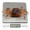 100 мм 334G Crab Крюк Мягкие приманки приманки заманить двойные крючки 3 Цветные смешанные силиконовые рыболовные шестерни 5 кусочков лот WSB318973996