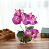 Artificial Butterfly Orchid Potted plants silk Flower with Plastic pots moss Home Balcony Decoration vase set wedding Decorative