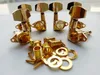 Anpassad guldgitarrinställning Pinnar Guitar Tuner Machine Head Gold 6st 3R3L i lager Endast 10 Set Left7570637