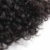 젖은 물결 모양의 물결 hairweft 번들 머리 버진 인간의 hairweaves 10-30inch 자연 색 더블 위사