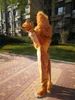 Högkvalitativa riktiga bilder Deluxe Lion Mascot Costume Mascot Cartoon Character Costume Adult Size 215T