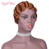 Micro Braid Wig African American American Fraided Wigs для женщин 14 -й синтетический парик Длинные прямые волосы плетена