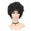 Kort hår Afro Kinky Curly Wig High Density Temperatur Syntetisk Paryker För Kvinnor Blandade Brown Cosplay African Hairstyles