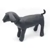 Läderhund mannekins stående position hundmodeller leksaker husdjur djur butik display mannequin340c