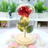 Real Touch Rose Glass Cover Lamp Artificial Gold Leaf Flower Eternal Flower Night Light Christmas Valentine's Day Gift