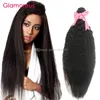 Glamorous Brazilian Human Hair Kinky Straight 1 pieza Virgin Indian Malaysian Mongolian Hair Wefts Light Yaki Hair Weave para mujeres negras