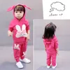 Herbst Baby Kleidung Kinder Jungen Mädchen sport Kaninchen Hoodies Hosen 2 Teile/sätze Kleinkind Aktive Kleidung Infant Kinder Trainingsanzug