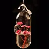 Гидропоники растения цветок Pill Форма Висячие стекло Ваза Home Decor 0 Отзывы Вопросы Ответы ID 985550