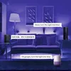 Bande lumineuse LED rvb 5m 10m wifi bluetooth musique 5050 60led/m 24 touches télécommande étanche Flexible led ruban ruban