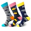 elefanten socken