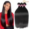 Cheveux vierges brésiliens raides 3 pcs/lot 9A faisceaux de cheveux humains raides brésiliens non transformés Gaga Queen cheveux