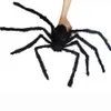 / 59 inç Siyah Büyük Örümcek Peluş Çocuk Çocuk Oyuncak Cadılar Bayramı Korku Prop Parti Favors 150 cm Bar KTV Cadılar Bayramı Dekorasyon JK1909XB Malzemeleri