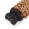 Indian Deep Wave Curly Hair Weave Bundles 1B 27 Ombre Honey Blonde Two Tone 1 Bunds 10-24 tum Peruvian Malaysian Human Hair Ext304l