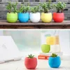 1 X Mini Round Plastic Meat Plant Flower Pot Garden Home Office Decor Micro Landscape Planter C19041901