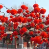 50 Pieces 6 Inch Traditional Chinese Red Paper Lantern For 2020 New Year Decoration Hang Waterproof Festival Lanterns