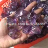 1000g Ametrine 떨어졌다 스톤 15-45mm 자유형 천연 자수정과 황 수정 석고 크리스탈 청크 치유 된 하이브리드 균형을위한 보석