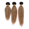 Brasilianska Human Hair Ombre Honey Blonde Kinky Curly Weaves Double Wefted 3pcs # 1b / 27 Honey Blonde Ombre Curly Human Hair Bundles 10-30 "