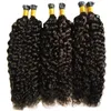 Grade 7a Unprocessed Virgin Mongolian Kinky Curly Hair Italian keratin Fusion Stick I TIP Human Hair Extensions Afro Kinky Curly Hair 100s