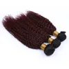 Bourgogne Ombre Kinky Bouclés Péruvienne Cheveux Weave Bundles 3Pcs avec Fermeture Frontale 4Pcs Lot # 1B / 99J Vin Rouge Ombre Bouclés Trames de Cheveux Humains