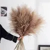 10 Pcs Pampas Grass Decor Phragmites &Reed Flowers Home Christmas Decoration Dried Flower Bouquet Natural Plants