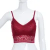 1pc sexy spitzen Bralette Push -up gepolsterten BH sexy Crop Top Dessous Unterwäsche drahtlose nahtlose Ultra -Gurt -Bras Tanks