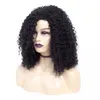 Shuwen sintético peruca simulação cabelo humano perucas macios ondulados ondulados pelucas completas para mulheres negras HJ01198