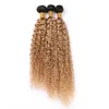 Fasci di tessuto per capelli umani ricci peruviani biondo miele Kinkys Curly 3 Offerte di pacchetti # 1B 27 Estensioni dei capelli vergini Ombre castano chiaro radice scura