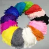 15inch (30-35cm) Diy Ostrich Feathers Plumes Craft Supplies Party Decoration Centerpiece Wedding Party Event Decor