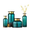 100% neue Nordic Transparent Glas Gold Konkaven Schlange Blume Vase Wohnzimmer Blume Anordnung Hydrokultur Hause Dekoration238y