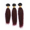 Burgundy Ombre Kinky Curly Peruvian Hair Weave Bundles 3Pcs with Frontal Closure 4Pcs Lot #1B/99J Wine Red Ombre Curly Human Hair Wefts